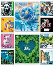 Тетради ученические 36 листов линия Люкс Микс 1, 20 шт. в упаковке