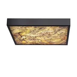 Стельовий світильник Candellux 10-17079 Luxan