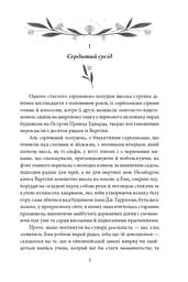 Енн із Ейвонлі - мініатюра 3