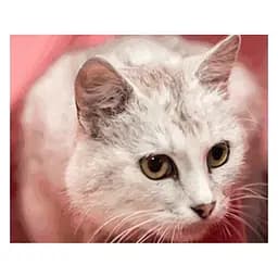 Алмазна мозаїка Strateg Жовтоокий кіт 30х40 см