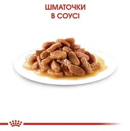 Вологий корм для стерилізованих кошенят Royal Canin Kitten Sterilised шматочки в соусі 85 г - мініатюра 6