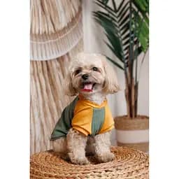 Футболка Pet Fashion Kent для собак XS - мініатюра 6