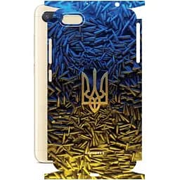 Захисна плівка StatusSKIN для Xiaomi Redmi 6A Корпус Вініл Герб 2