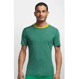 Футболка Icebreaker BF 200 Oasis SS Crewe Bottle/Snow L (1052-101 406 302 L)