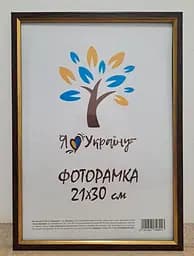 Фоторамка 21Х30, (А4), коричневая с золотой вставкой, 1210-В186 , СТЕКЛО + КАРТОН