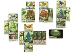 Настільна гра Lords of Boards Лісова метушня (Forest Shuffle) (укр.) (LOB2329UA) - мініатюра 5