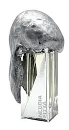 Парфуми Filippo Sorcinelli Nebbia Fitta Тестер 50 мл 