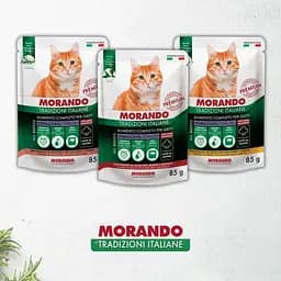 Вологий корм для стерилізованих котів Morando Tradizioni Sterilized беззерновий шматочки в желе з лососем та тунцем 85 г - мініатюра 4