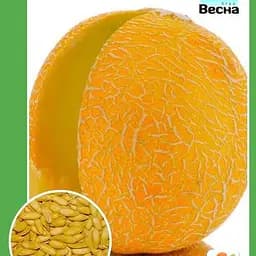 Дыня "Ранняя 133" ТМ "Весна" 1.5г (10132)