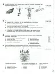 Біологія і екологія. 11 клас. Тестовий контроль результатів навчання. Профільний рівень - мініатюра 4