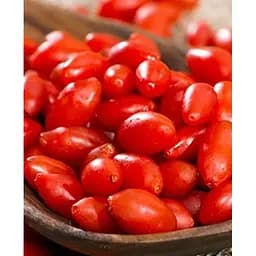 Саженец Agro-Market Годжи алого цвета Магия любви (Magic of love) (премиальный, неприхотливый, сорт со стабильным урожаем) 1 саженец (47685)