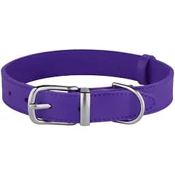 Ошейник для собак BronzeDog Barksi Classic кожаный 2XS 18-25х1 см фиолетовый