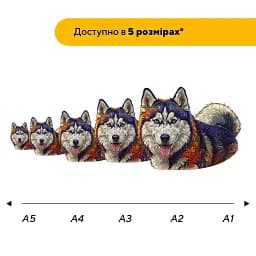 Дерев'яний фігурний пазл Милий Хаскі, А3, Дерев'яна коробка 200 елементів - мініатюра 2