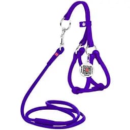 Шлей с поводком для собак Waudog Glamour кожаный с QR паспортом, круглый, фиолетовый