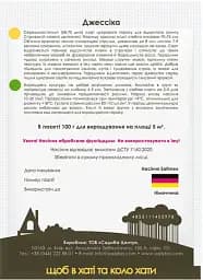Насіння Садиба Горох цукровий Джессіка 100 г (000021727) - мініатюра 2