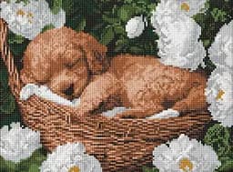 Набор с алмазной мозаикой на подрамнике Спящий пудель Ideyka AMO8170, 30x40 см