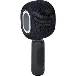 Мікрофон FG231109031P-1 довжина 22 см вбудований акумулятор LED-підсвічування чорний