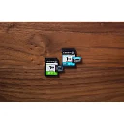 Картка пам'ятi KINGSTON 256Gb UHS-I U1 V10 A1 + SD-adapter (SDCS3/256GB)