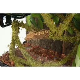 Ліана гнучка з натуральним мохом для тераріуму Repti-Zoo Artificial Moss Vine 2см x 2м (RV0220) - мініатюра 14