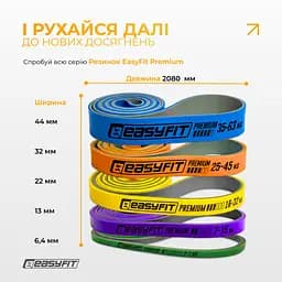 Двошарова резинка для підтягування EasyFit Premium 25-45 кг - мініатюра 10