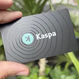 Tangem Wallet 2.0 x Kaspa (мультивалютний) на 3 карти - мініатюра 4