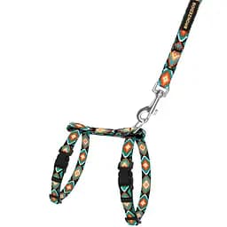 Шлея для котів та собак дрібних порід BronzeDog Urban Орнамент ромби з нашивкою та повідцем XXS 15-23 см