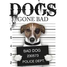 Dogs Gone Bad - Рассел Джек