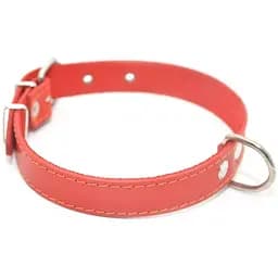 Ошейник для собак Zoo-hunt кожаный О красный 1,4/22-28 см