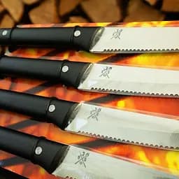 Набір ножів для стейка Gefu BBQ 4 шт. (89155) - мініатюра 3