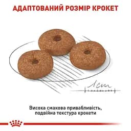 Сухий корм для собак старше 12 років Royal Canin Mini Ageing 12+, 800 г (1007008) - мініатюра 3