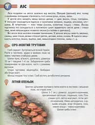 Енциклопедія для допитливих А5 : Рослини і тварини України (Українська ) - мініатюра 7
