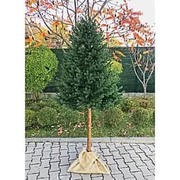 Елка искусственная Hvoya Traditional 220 см литая с натуральным деревянным стволом зеленая