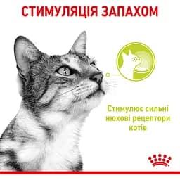 Вологий корм для дорослих котів Royal Canin Sensory Smell Gravy шматочки в соусі 1.02 кг (12 шт. х 85 г) - мініатюра 8