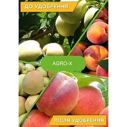 Мінеральне добриво Agro-x Biohyper extra Біохайпер Екстра для плодових та ягідних 100 г (47232) - мініатюра 3