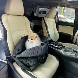 Сумка переноска автогамак для тварин котів собаки домашніх тварин до 10 кг автокрісло в машину сумки для перевезення автомобільний dogs bomba чорна  - мініатюра 4