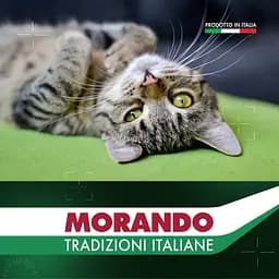 Вологий корм для котів Morando Tradizioni беззерновий паштет з куркою, картоплею та горохом 100 г - мініатюра 6
