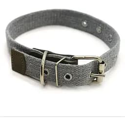Нашийник для собак Zoo-hunt брезентовий 2,5 см 24-44 см сірий
