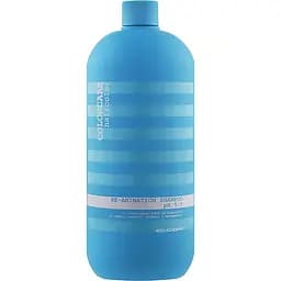Шампунь Elgon Colorcare Re-Animation Shampoо відновлюючий для пошкодженого волосся 1000 мл