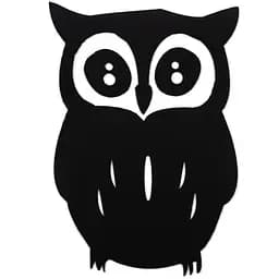 Дзеркальний декор Wall Sticker SW-00002493 акриловий самоклеючий Сова чорний