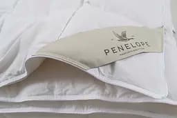 Ковдра Penelope - Gold 6,5 tog пухова 155x215 полуторна - мініатюра 4