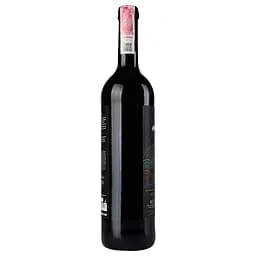 Вино Beykush Winery Артанія Резерв, червоне, сухе, 9-14%, 0,75 л (827312) - мініатюра 4