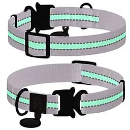 Ошейник для собак нейлоновый Waudog Nylon с QR-паспортом, светонакопительный/светоотражающий, металлическая пряжка-фастекс, Ш 25