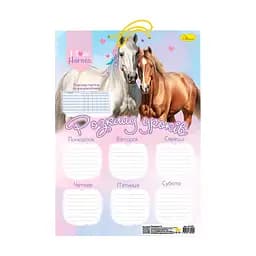 Ламинированное расписание уроков Апельсин АП-0802 формат А3 Вид 1