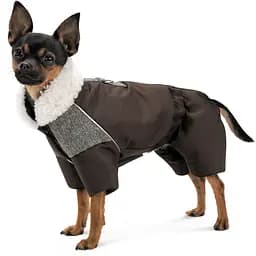 Костюм для собак Pet Fashion Locky М2 коричневий - мініатюра 2