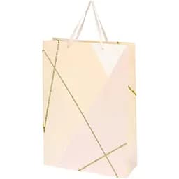 Пакет подарунковий BLK47256 Бежевий (2000990712059)