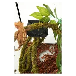 Ліана гнучка з натуральним мохом для тераріуму Repti-Zoo Artificial Moss Vine 2см x 2м (RV0220) - мініатюра 9