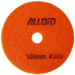 Круг алмазний Alloid Building Tools Combs шліфувальний на липучці 100 мм зерно 300 (DD-63381)