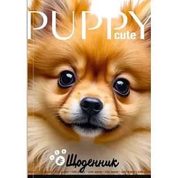 Щоденник шкільний Mandarin 25033 40 аркушів