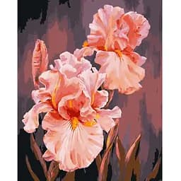 Картина за номерами ArtCraft Рожеві іриси 13140-AC 40х50 см