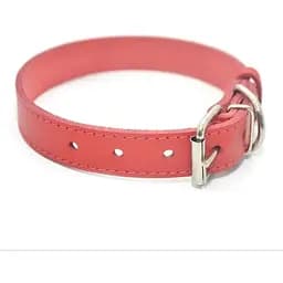 Нашийник для собак Zoo-hunt Весна шкіряний червоний 1,6/23-31 см